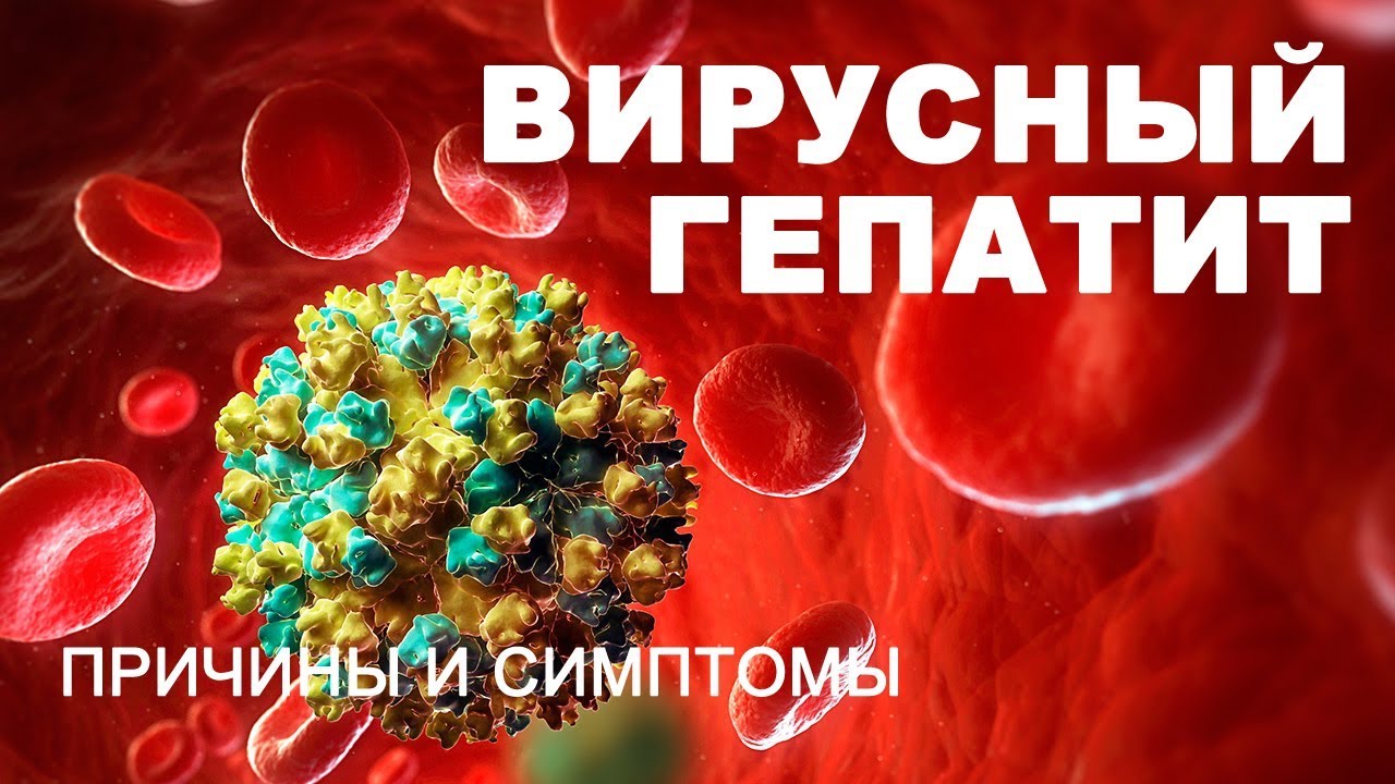 Профилактика вирусных гепатитов